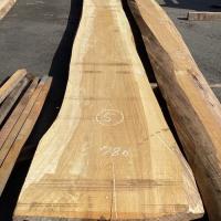 檜（ヒノキ）　NO.1002-5