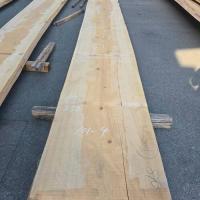 檜（ヒノキ）　NO.101-4