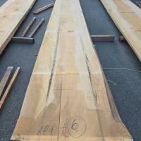 檜（ヒノキ）　NO.101-6