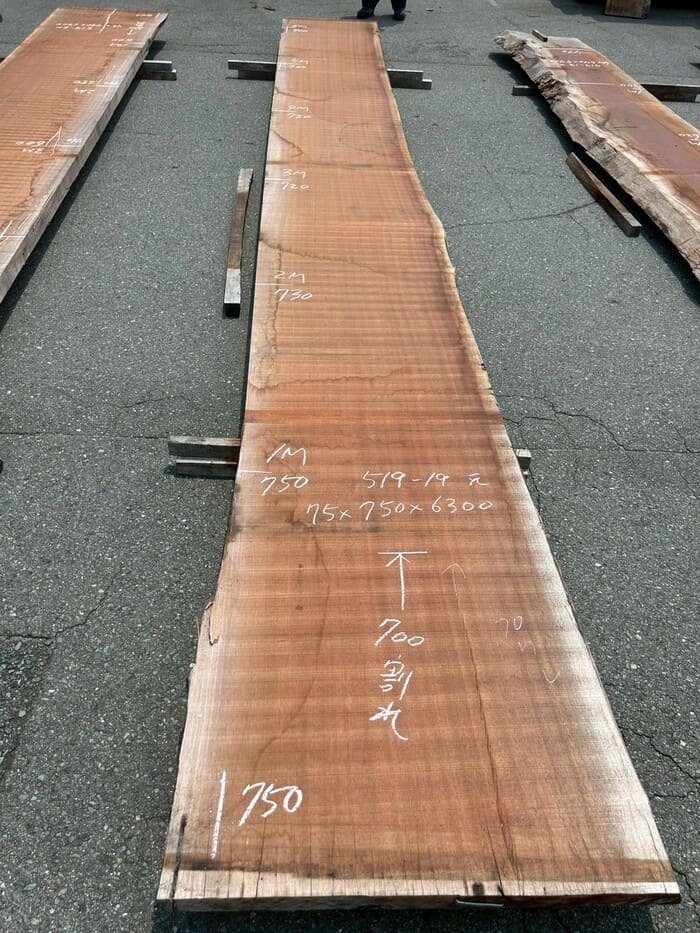 シポ　一枚板・天板