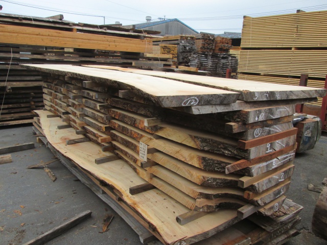 楠（クス）　無垢材