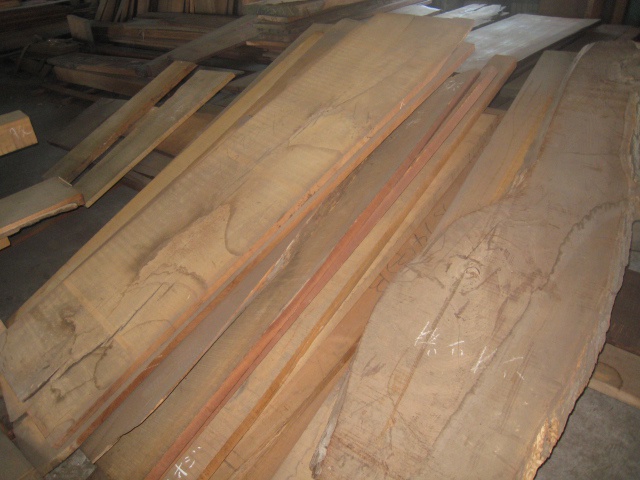 塩地（シオジ）　無垢材