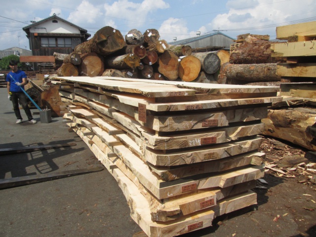 銀杏（イチョウ）　無垢材