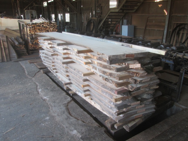 榎（エノキ）　無垢材