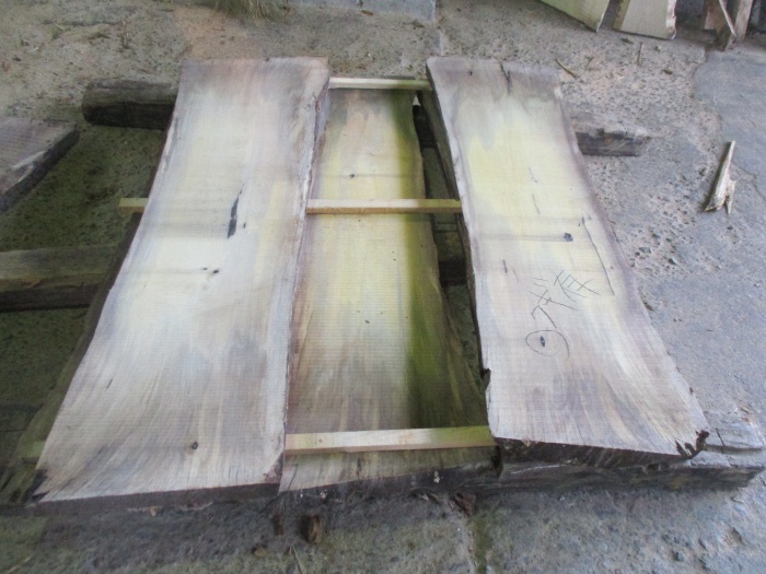 柿（カキ）　無垢材