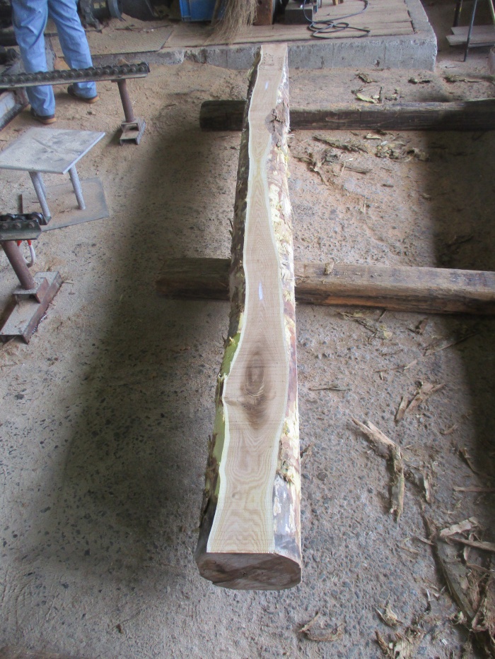 槐（エンジュ）　無垢材