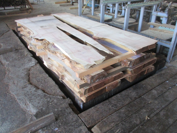 メタセコイア　無垢材