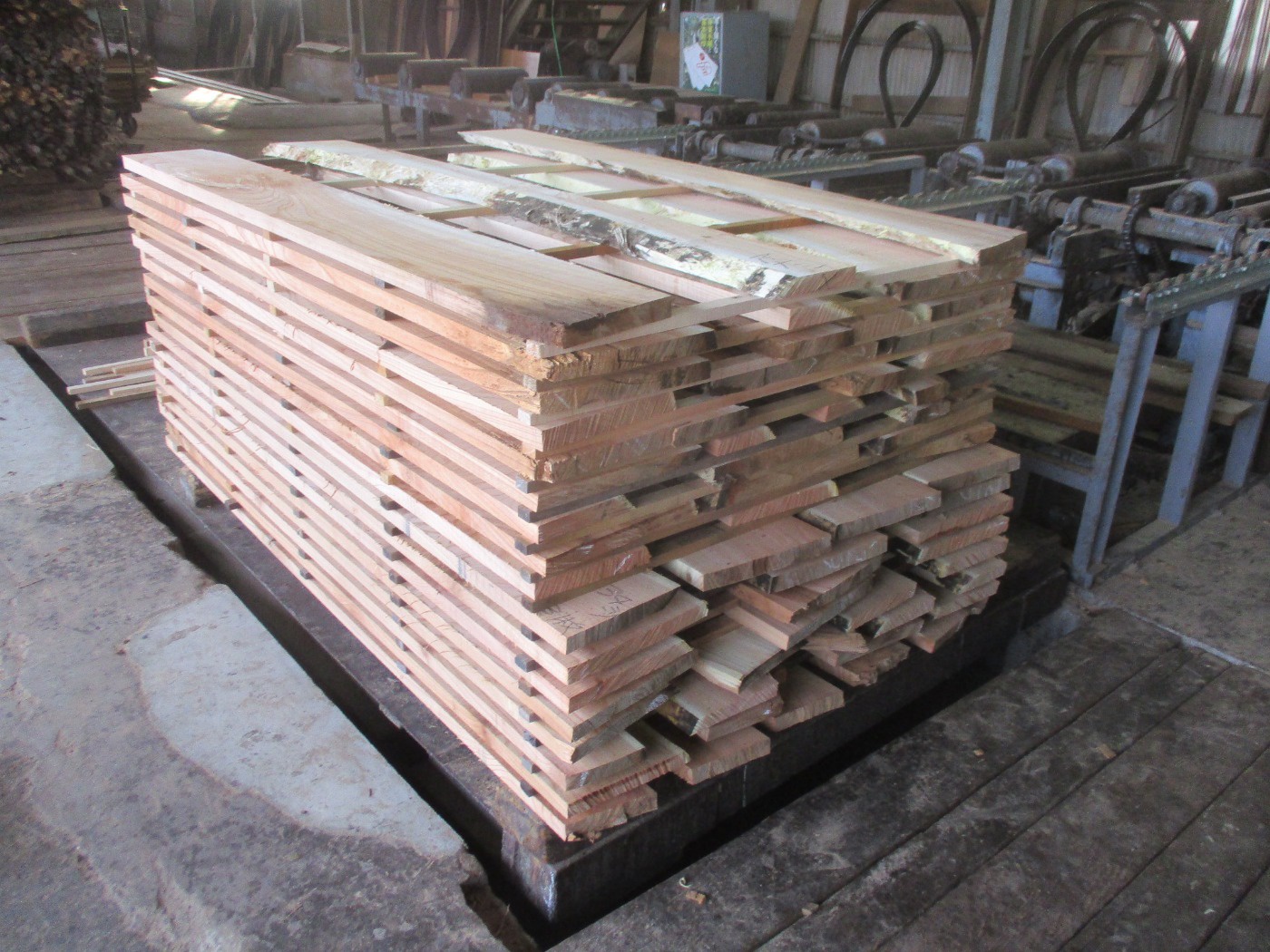 栴檀 センダン No 5286 栴檀 センダン 無垢材 高田製材所