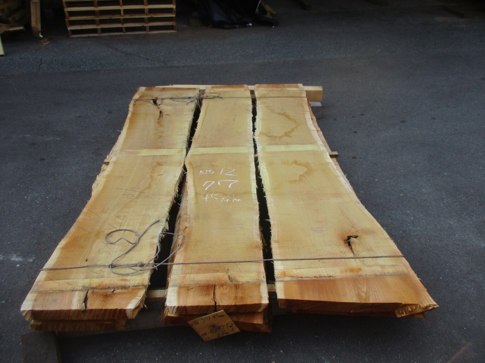 桑（クワ） 無垢材