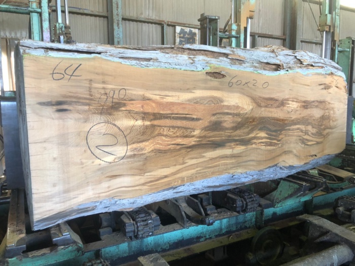 屋久杉（ヤクスギ）　無垢材