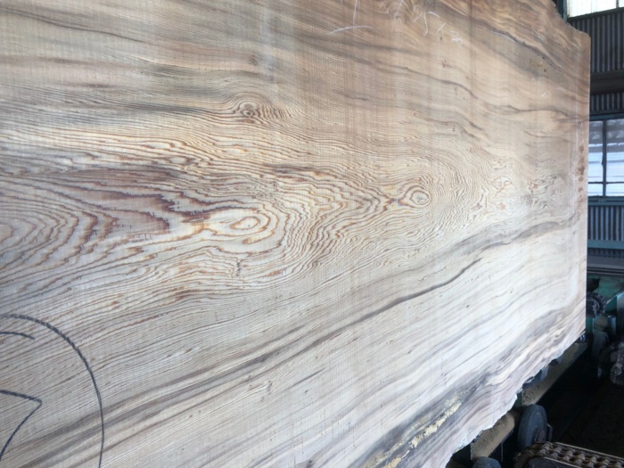 屋久杉（ヤクスギ）　無垢材