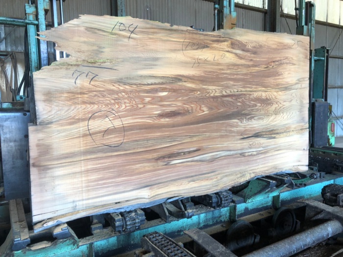 屋久杉（ヤクスギ）　無垢材