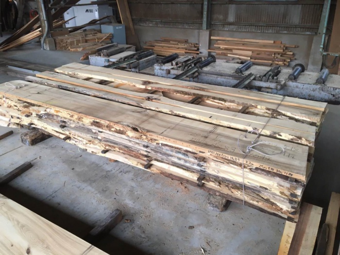 桂（カツラ）　無垢材