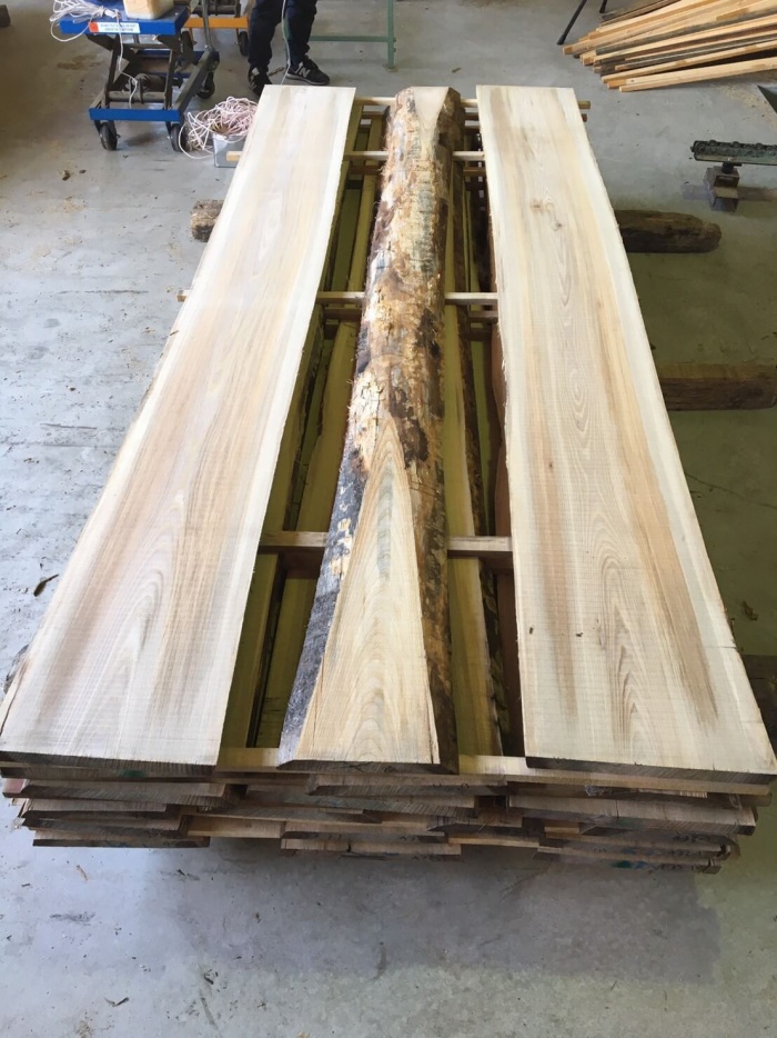 楡（ニレ）　無垢材