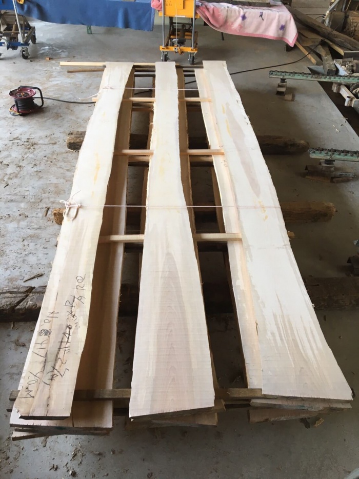 目白樺（メジロカバ）　無垢材