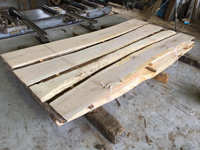 目白樺（メジロカバ）　無垢材