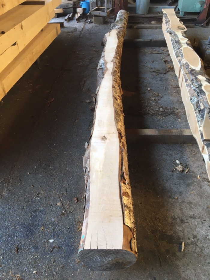 水目（ミズメ）　無垢材