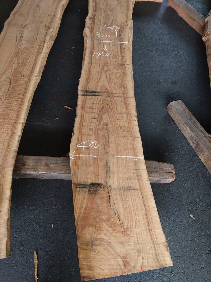 オリーブ　無垢材