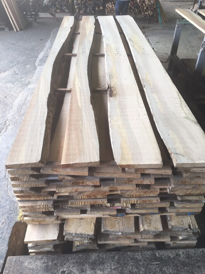 クリプトカリア 　無垢材