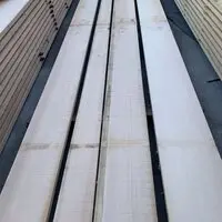 スプルース　NO.407