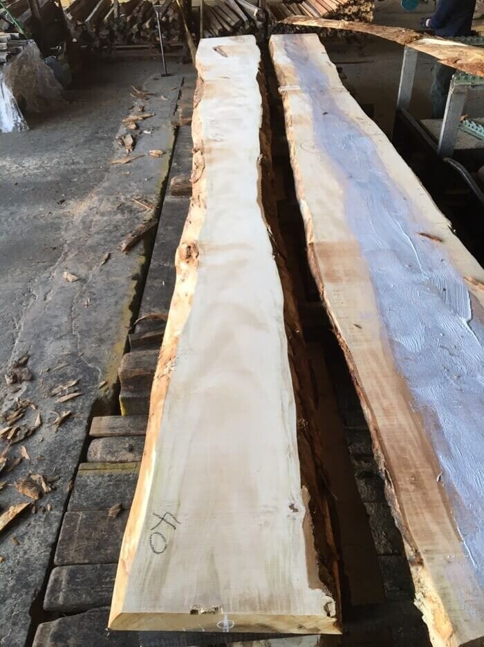 栃（トチ）　無垢材