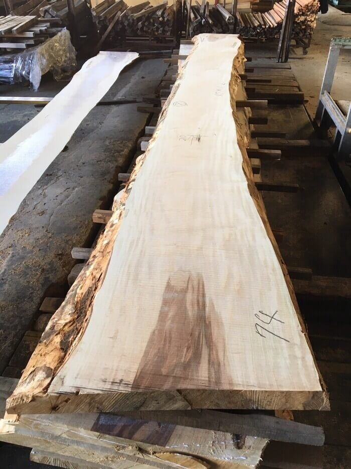 栃（トチ）　無垢材