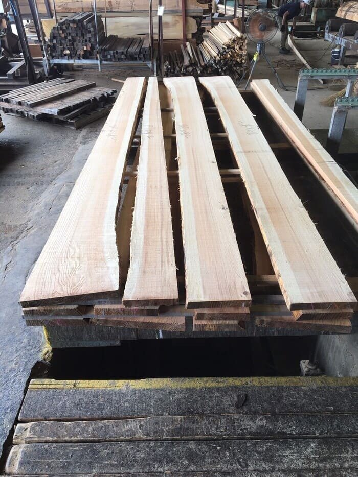 無垢材　杉（スギ）