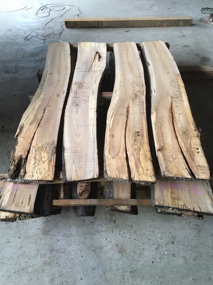 楡（ニレ）　無垢材