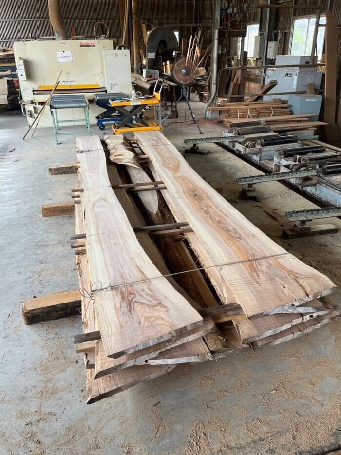 楡（ニレ）　無垢材