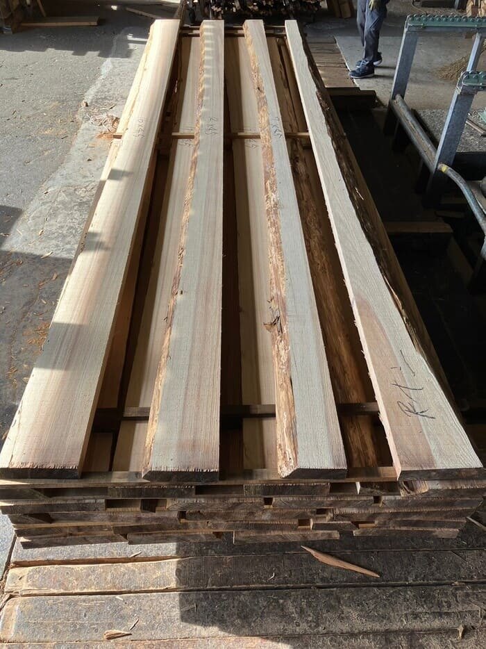 杉（スギ）　無垢材