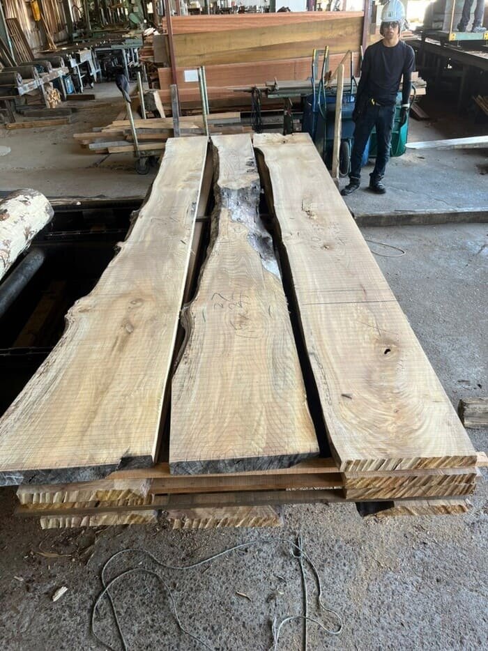 楡（ニレ）　無垢材