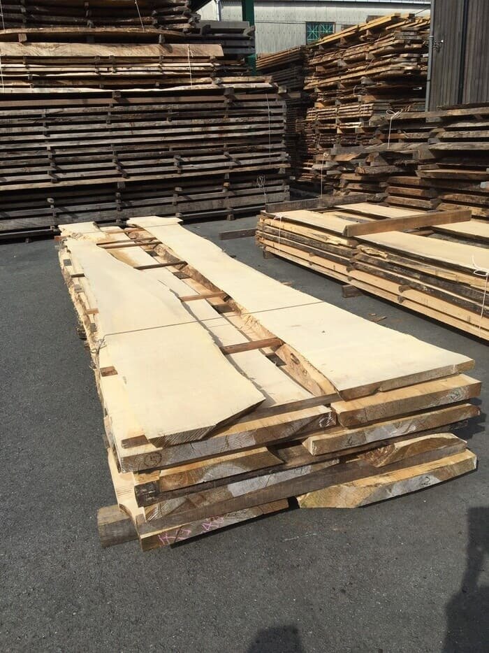 銀杏（イチョウ）　無垢材