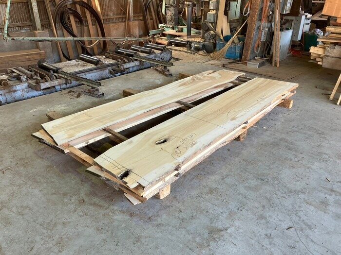 銀杏（イチョウ）　無垢材