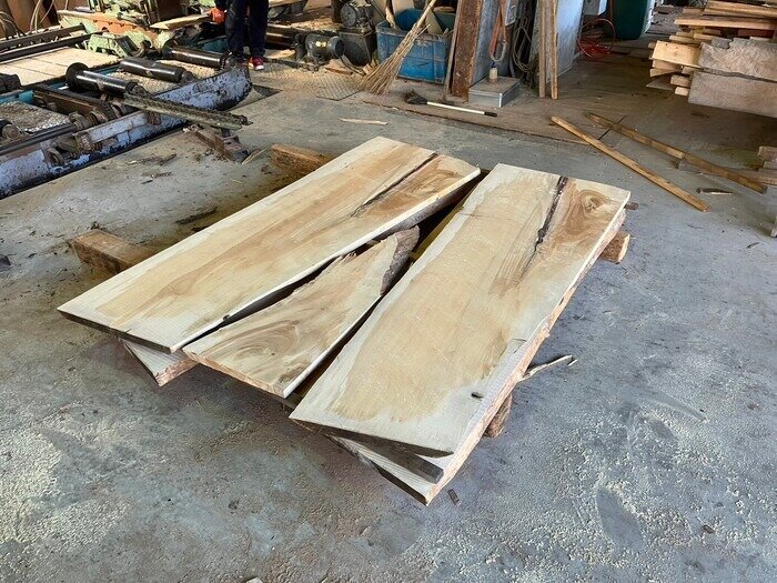 銀杏（イチョウ）　無垢材