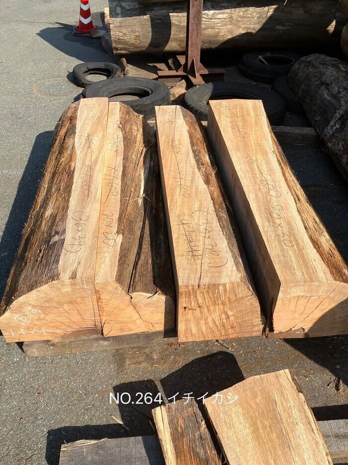 一位樫（イチイカシ）　無垢材