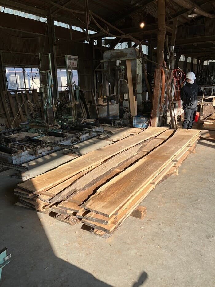 椎（シイ）　無垢材