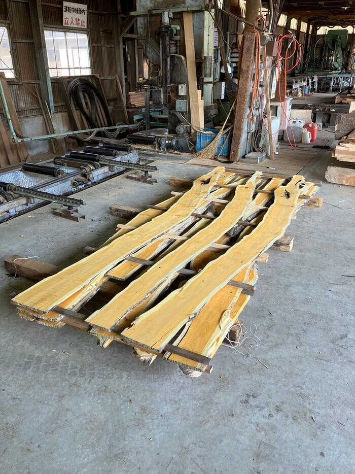 苦木（ニガキ）　無垢材