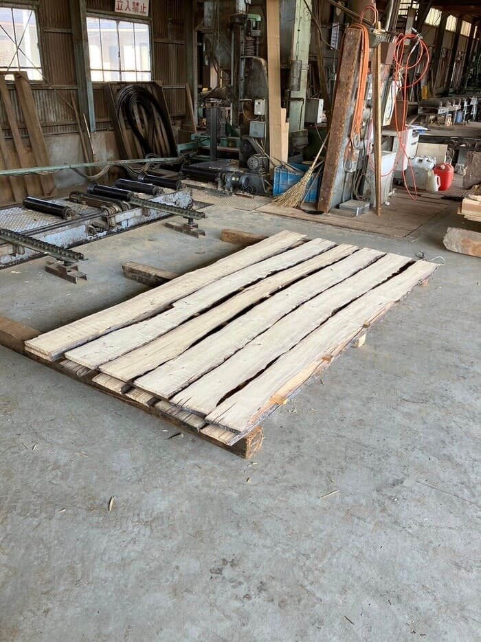 良株の株立 落葉樹 極上 ヒメシャラ 420 樹高1.7m位 姫沙羅 記念樹 良株の株立 落葉樹 極上 ヒメシャラ 420 樹高1.7m位 姫沙羅 記念樹