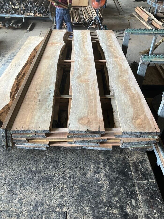 一位樫（イチイカシ）　無垢材