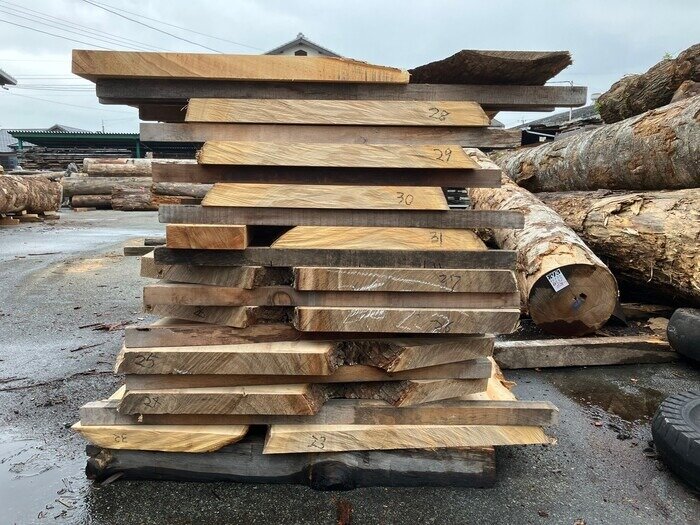 楠（クス）　無垢材