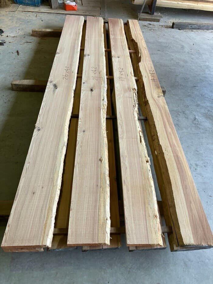 杉（スギ）　無垢材