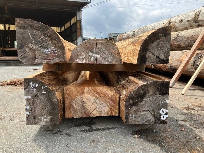 一位樫（イチイカシ）　無垢材