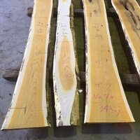 苦木（ニガキ）｜組子細工用材