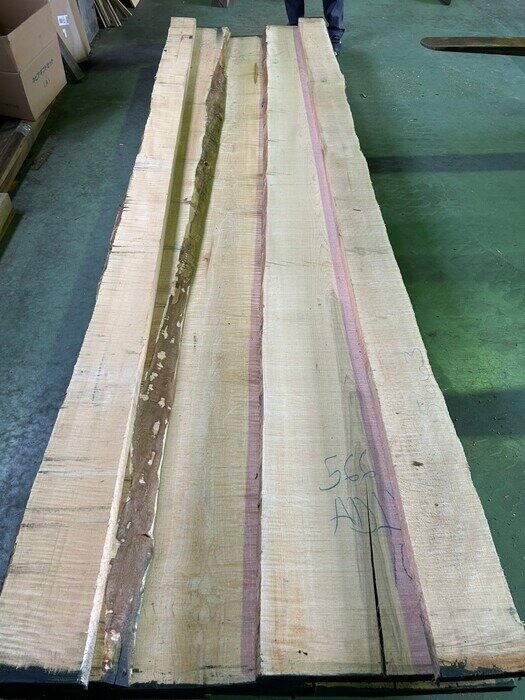 カーリーメープル　無垢材