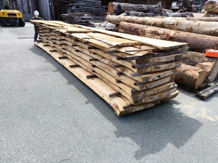 銀杏（イチョウ）　無垢材