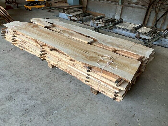 銀杏（イチョウ）　無垢材