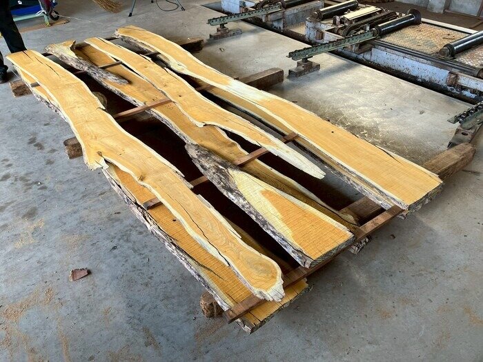 苦木（ニガキ）　無垢材