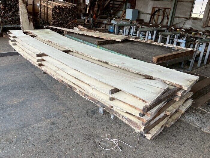 朴（ホオ）　無垢材