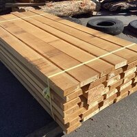 檜（ヒノキ）　NO.49