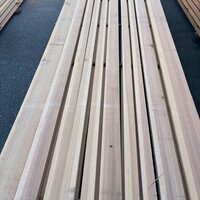 吉野杉（ヨシノスギ）　NO.1503